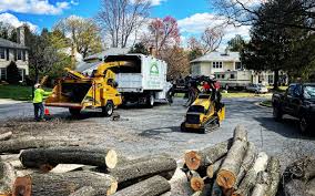 Best Seasonal Cleanup (Spring/Fall)  in Madison, GA