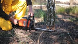 Best Lawn Watering Services  in Madison, GA